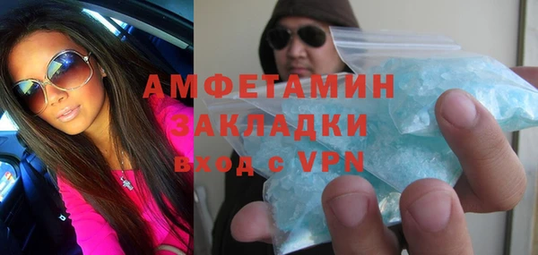 шишки Новодвинск