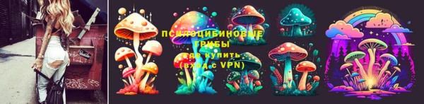 MDMA Горнозаводск