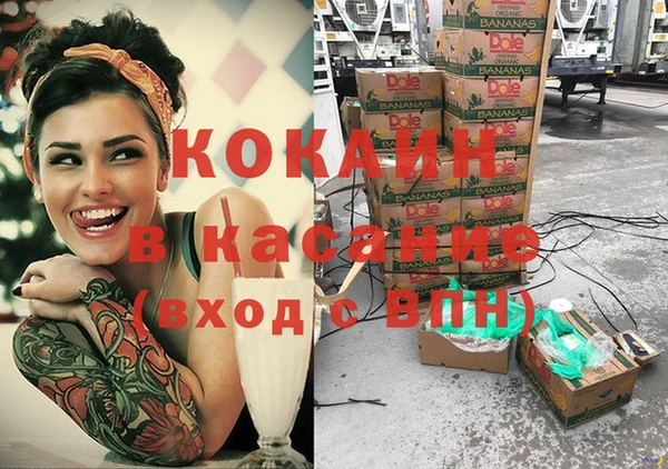 эйфоретик Новозыбков