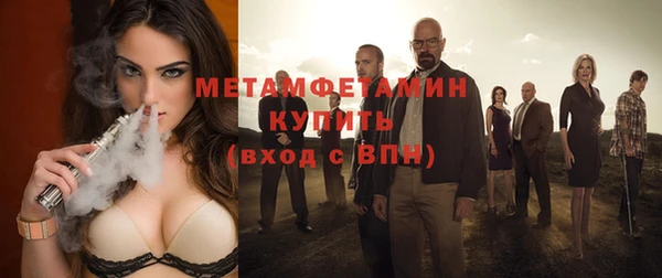 шишки Новодвинск