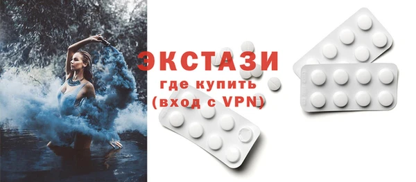шишки Няндома