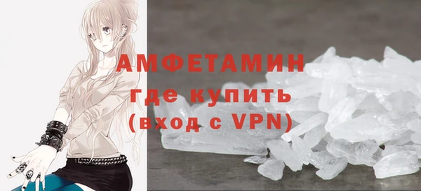 шишки Няндома