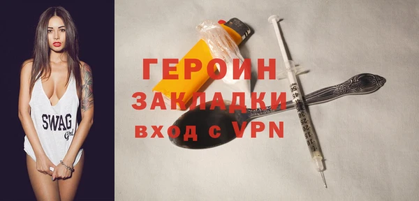шишки Новодвинск