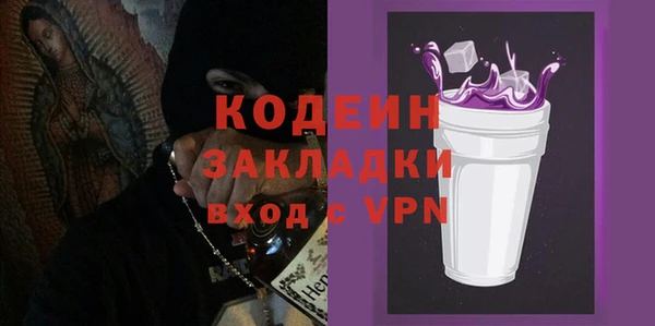 шишки Няндома