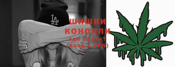 шишки Няндома