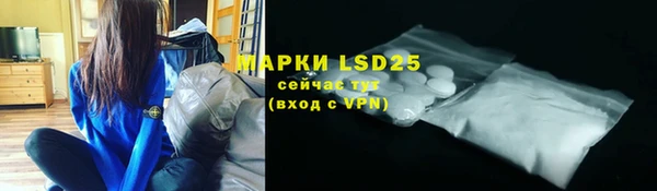 шишки Новодвинск