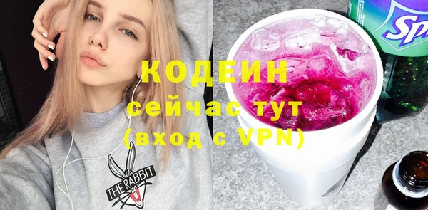 шишки Новодвинск