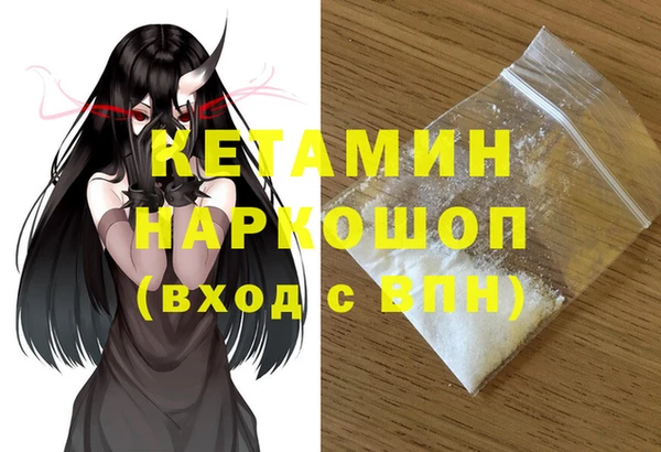 шишки Новодвинск