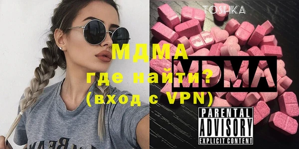 шишки Няндома