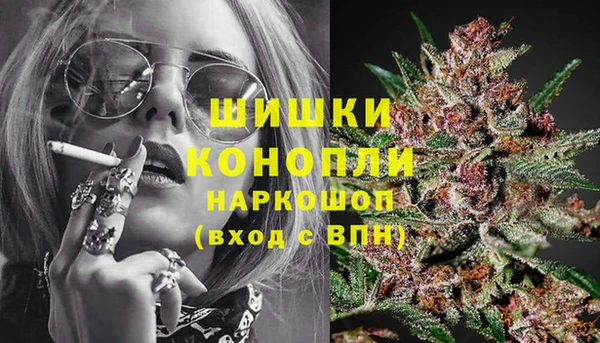 шишки Новодвинск