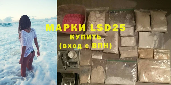 шишки Няндома