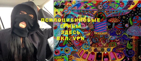 шишки Няндома