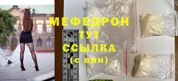 шишки Новодвинск