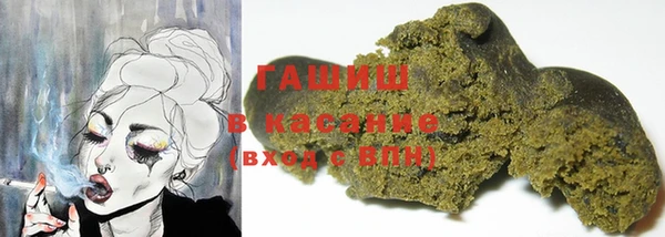 шишки Новодвинск