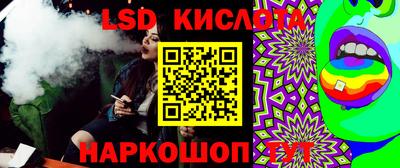 амф Донской