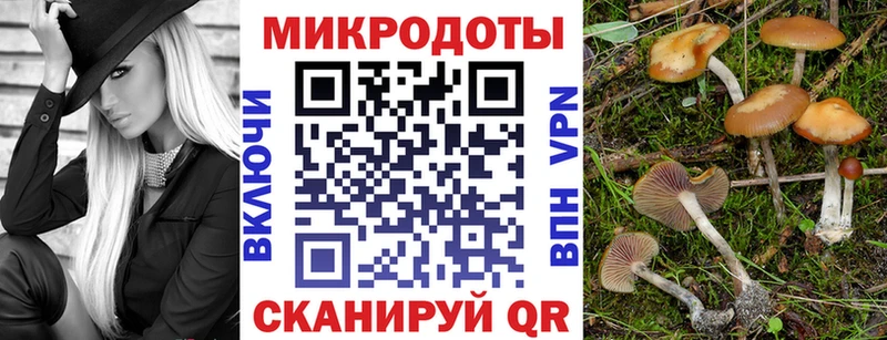 KRAKEN вход  Прохладный  Галлюциногенные грибы прущие грибы 