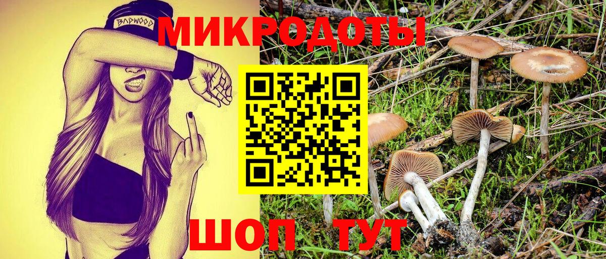 Псилоцибиновые грибы GOLDEN TEACHER Прохладный