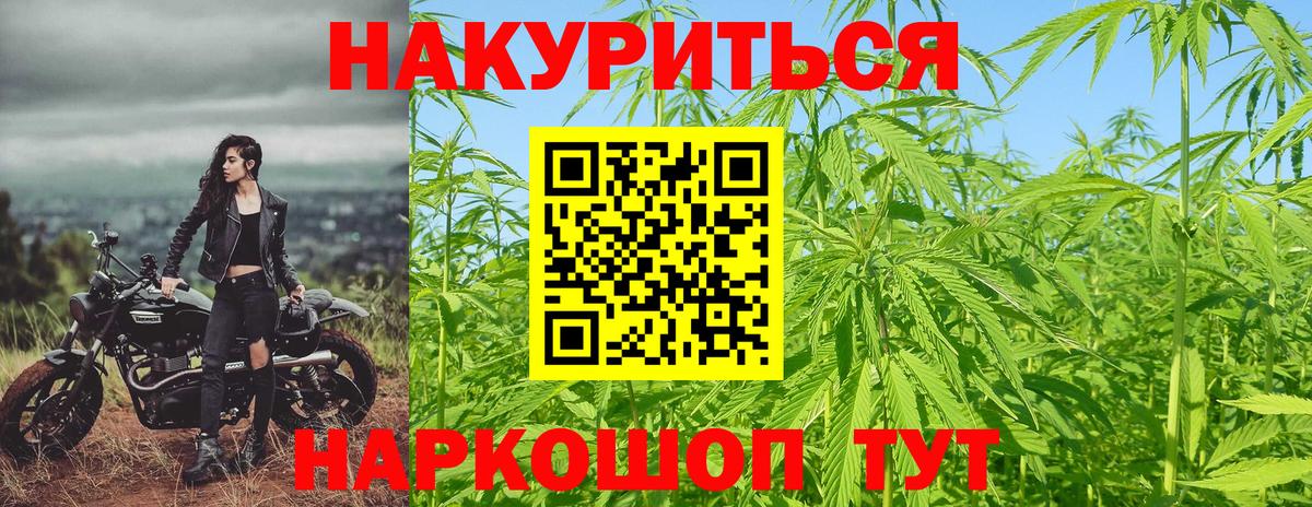 Марихуана Ganja Прохладный